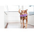 Фото #2 товара Игрушка для собак Red Dingo Внутренняя/Внешняя