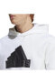 Фото #20 товара Erkek Sweatshirt Ic3746