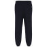 Фото #2 товара RUSSELL ATHLETIC Iconic joggers