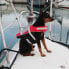 Фото #2 товара LALIZAS Comfy Pet Buoyancy Aid