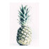 Фото #2 товара Wandbild Pineapple