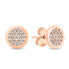 Серьги Brilio Dazzling Rose Gold SILVER009_AU clear, pink gold - фото #1