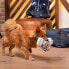 Фото #7 товара Игрушка для собак Star Wars Серый 100 % полиэстер
