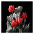 Фото #3 товара Leinwandbild Tulpen Rot Natur Blumen