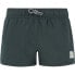 Фото #1 товара PROTEST Taylor Swimming Shorts