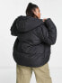 Threadbare Plus Evri puffer jacket with funnel neck in black
