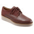 Фото #2 товара Softwalk Willis S1811-255 Womens Brown Oxfords & Lace Ups Casual Shoes 7