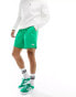 The North Face Class V Pathfinder logo shorts in green