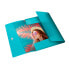 ESSELTE Assorted Colour Breeze PP A4 3 Flaps Folder