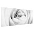 Фото #5 товара Bild Close Up Rose