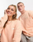 Фото #3 товара Fila unisex Trev sweatshirt with seam detail in apricot