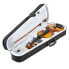 Фото #1 товара Monzani Violinset Capriccio 21 4/4