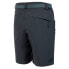 Фото #2 товара IZAS Himalaya II Shorts