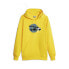 Фото #1 товара Puma Pl Graphic Pullover Hoodie Mens Size XS Casual Outerwear 62102506