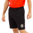 PUMA Som-Hi Girona FC shorts