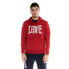 Фото #1 товара LEONE APPAREL Big Logo Basic hoodie