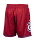 ფოტო #2 პროდუქტის Men's Red Philadelphia 76ers Hardwood Classics Big Face 2.0 Shorts