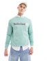 Фото #2 товара Timberland large script logo sweatshirt in light green