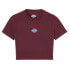 ფოტო #2 პროდუქტის DICKIES Maple Valley short sleeve T-shirt