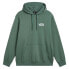 Фото #1 товара VANS Posted Loose hoodie