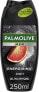 Фото #2 товара Shampoo & Duschgel für Männer - Palmolive Men Energizing 3 in 1 250 ml