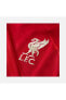 Фото #7 товара Футболка мужская Nike Liverpool Fc 2021-2022 Стадионная форма DB2560 688