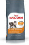 Фото #1 товара Royal Canin Hair&Skin Care karma sucha dla kotów dorosłych, lśniąca sierść i zdrowa skóra 4 kg