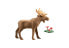 Фото #1 товара Игровой набор Playmobil Moose 71052 Wildlife (Дикая природа)