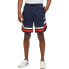 Фото #1 товара Fila Lashio Baseball Shorts M FAM0651.50004