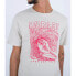 HURLEY Everyday Surf Skelly short sleeve T-shirt