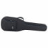 Reunion Blues CV Bass guitar Case