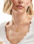 Фото #8 товара Rachel Jackson 22 carat gold plated St Christopher coin necklace