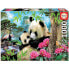 Puzzle Panda 1000 inklusive Kleber