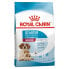 ROYAL CANIN Shn Medium Starter 15kg Dog Food