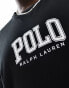 Polo Ralph Lauren Big & Tall collegiate logo t-shirt classic oversized fit in black