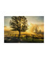 Danny Head Wake Up Call Country Road Canvas Art - 20" x 25"
