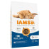 Корм для котов IAMS Advanced Nutrition Cat Adult Рыба 10 kg