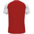 Joma Academy IV Sleeve football shirt 101968.602