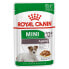 Фото #2 товара ROYAL CANIN Mini Ageing 12+ 85g Wet Dog Food 12 Units