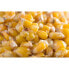 MIVARDI Honey 1kg Corn