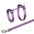 TRIXIE Cat Set Leash