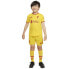 NIKE Liverpool FC Third Little Kit 21/22 Set