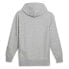 Puma Rudagon Logo Hoodie Mens Grey Casual Outerwear 62361204