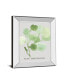 Pilea Peperomioides by Katrien Soeffers Mirror Framed Print Wall Art, 22" x 26"