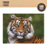 Фото #4 товара COLOR BABY Save The Planet Tigger Puzzle 500 Pieces