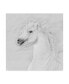 PH Burchett Black and White Horses III Canvas Art - 20" x 25"