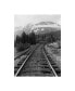 Фото #1 товара Monte Nagler Railroad Tracks Alaska Canvas Art - 37" x 49"