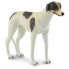 Фото #2 товара COLLECTA English Greyhound Figure