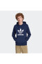 Фото #10 товара Толстовка Adidas TREFOIL HOODY Sweatshirt IM4496