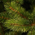 Фото #11 товара Weihnachtsbaum Jutesack Forest Frosted